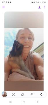 Diane Shipway profile photo