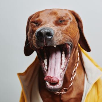 Florence Jaouat profile photo