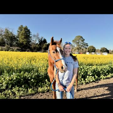 Sofia Scekic profile photo