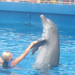 Vanessa Herrera profile photo