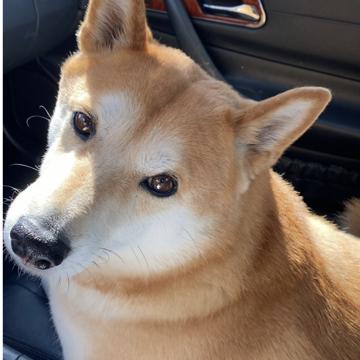 Victor Mercado profile photo