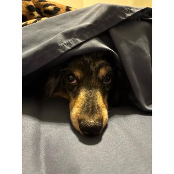 Kaden Cloud profile photo