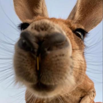 Julio Cruz profile photo