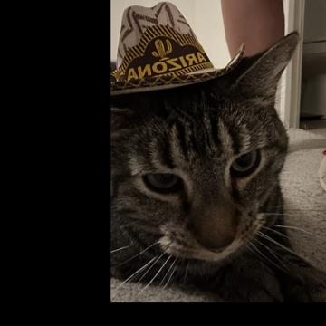 Katherine Benson profile photo