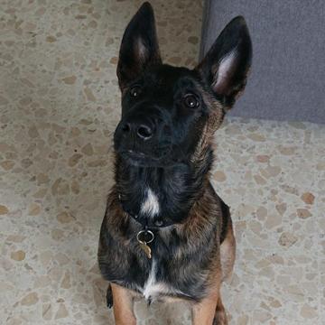 Deschamps Jimmy profile photo