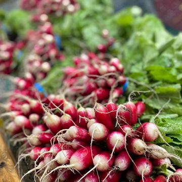 Elizabeth Keen profile photo