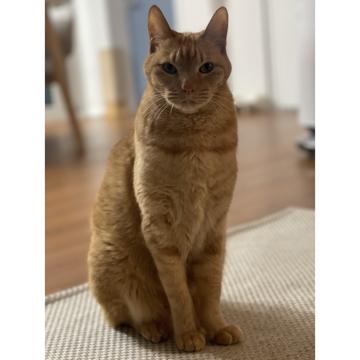 Jeonghyuk An profile photo