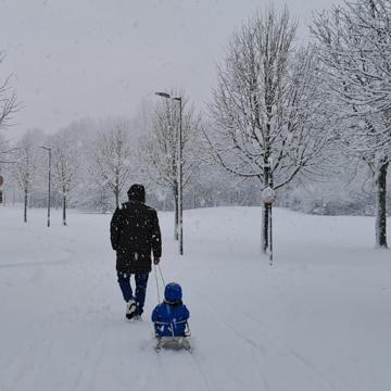 Hans Göbbels profile photo