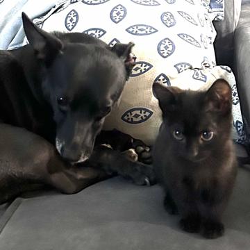 Sarah Muniz profile photo