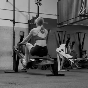 Madison Newton profile photo