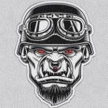 Manuel Chesseron profile photo