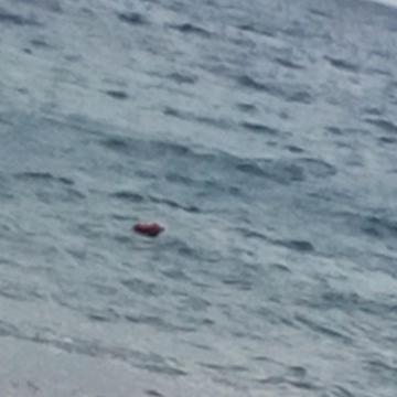 Katerina Aliberti profile photo