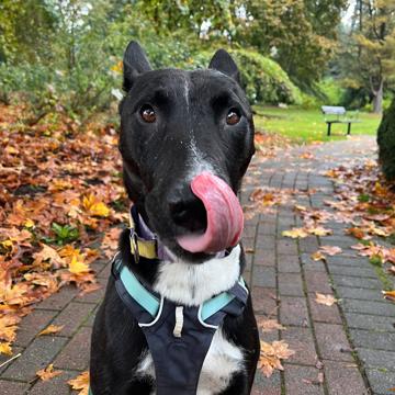 Cassie Cho profile photo