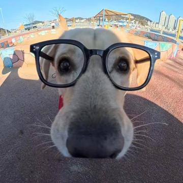 희준 임 profile photo