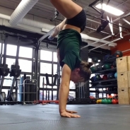 Sammy Jo Johnson profile photo