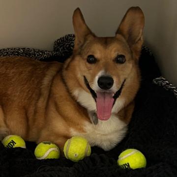 Santiago Montano profile photo