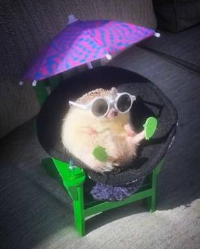 Hannah Francis profile photo