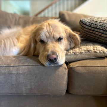 Daniel Kidd profile photo