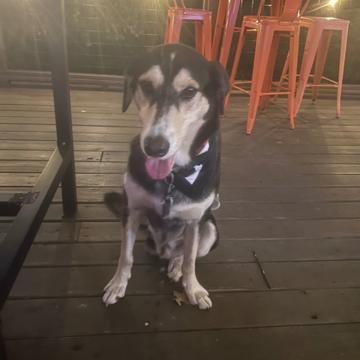 Jordan Walker profile photo