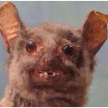 Sissi Gunter profile photo