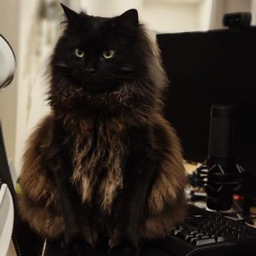 Cassandra Khoo profile photo