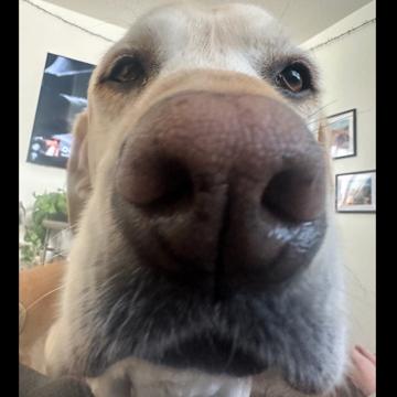 Grace Fleming profile photo