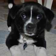 Paul Blanchard profile photo