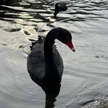 Jungmin Lee profile photo