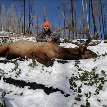 Forrest Todd profile photo