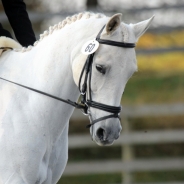 Maria Lempicki profile photo