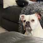 Craig Taylor profile photo