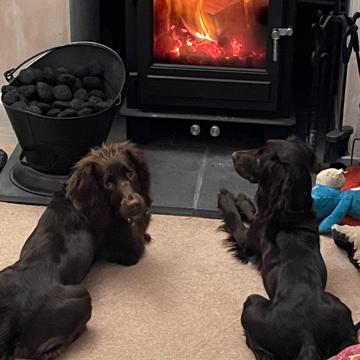 Richard German profile photo