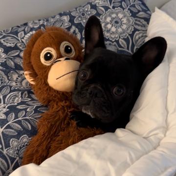 Elena Noviziati profile photo