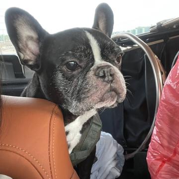 Hansheng Kuo profile photo