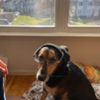 Andrew Farinich profile photo