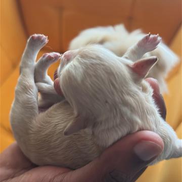 Naomi Wanjagua profile photo