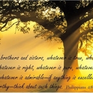 John Demko profile photo