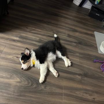 Oscar Garcia Morales profile photo