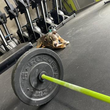 Julie Rabbitt profile photo