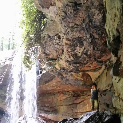 Karen Norman profile photo