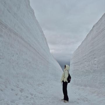 Heeyoun Kang profile photo