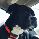 John Trahan profile photo