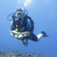 Jason Gerard profile photo