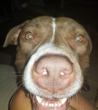 Rhesa Montes profile photo