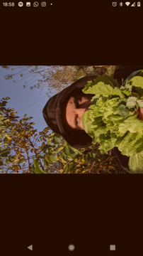 Douwe Bijlsma profile photo