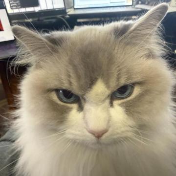 Blake Sama profile photo