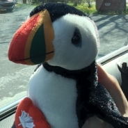 Amanda Beaulieu profile photo