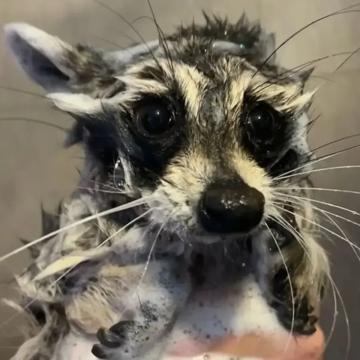 Giulia Gi profile photo