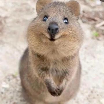 taewoong lee profile photo