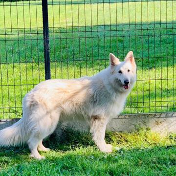 Gaetan Cumbo profile photo